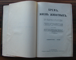 Брем «Жизнь животных» Под редакцией Н. М. Книповича. три тома. (Птицы)., фото №3