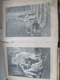 Родина. Комплект за полгода 1902 год. №№ 1 - 26., фото №7