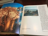 Жемчужины Казахстана 1983год Альбом-книга, фото №6