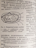 Продовольственные товары, фото №5