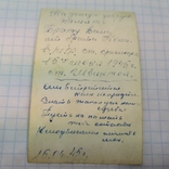 1945 Фото матроса Швидкого. Знак морської охорони, БЗ і оборони Ленінграда, фото №4