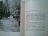 Young tourist in the Carpathians. Guide in Ukrainian and Russian languages. 1966, photo number 6