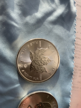 Канада 5 долларов 2020 серебро 999 унция, фото №3