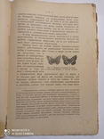 Рихард Гессе, "Учение о происхождении видов и Дарвинизм", 1924 г., фото №9