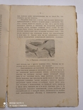 Рихард Гессе, "Учение о происхождении видов и Дарвинизм", 1924 г., фото №12