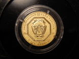 5 гривен Архистратиг Михаил 2013 года, золото 7,78 грамм, 999,9, фото №4