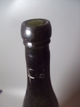 Beer bottle Proskurov Klyave green proskurov height 30 cm, photo number 4