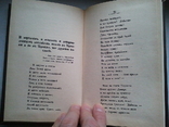 Стихотворения Пушкина и Шавченки. Репринт с издания 1859 г., фото №10
