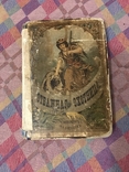 Отважная охотница - 1882г Майн Рид  Хромолитографии Детская Книга, фото №3