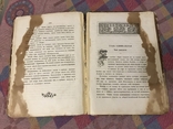 Отважная охотница - 1882г Майн Рид  Хромолитографии Детская Книга, фото №7