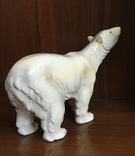 Білий ведмідь, фото №7