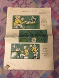 Червоний перець 1929р юмористичний журнал, фото №8