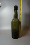 Beer bottle pipa pippig with paatz wurzen height 26 cm, photo number 3