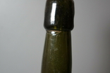 Beer bottle pipa pippig with paatz wurzen height 26 cm, photo number 5