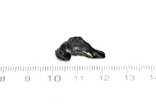Імпактне тіло, тектит Irgizite, 0,79 грам із сертифікатом автентичності, фото №4