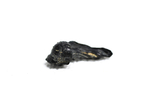 Імпактне тіло, тектит Irgizite, 0,79 грам із сертифікатом автентичності, фото №5