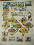 Коллекция марок на тему "Фауна", 2 альбома, около 1500 штук, фото №6