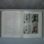 Настольная книга охотника-спортсмена 1956 Том 2, фото №12