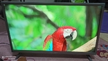 Телевизор Gazer 24" HD Smart TV, фото №2