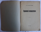 Степан Смаль-Стоцький, "Правописні непорозуміння" (1914). Українська орфографія, фото №3