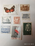 Польские марки, фото №2