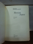 Книга " В. Брюховецкий. Микола Зеров " 1990, фото №3