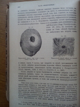 Судебная медицина 1901г. С иллюстрациями не для слабонервных, фото №10