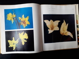 Книга Цветы., фото №8