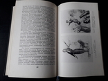 Никколо Паганини. Жизнь и творчество. 1968, фото №7