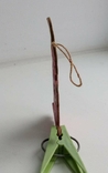Елочная игрушка Козел скрипач ( картон) 1960 г., фото №4