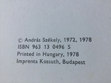 Книга по искусству 1978 год la pintura Espanola Венгрия, фото №4