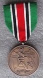 Арабские Эмираты, медаль, фото №2