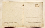 Почтовая карточка почтовая открытка СССР Расскажи сказку 1968 Коган, фото №3