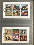 Коллекция марок животные, фото №4
