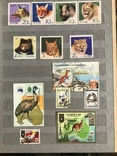Коллекция марок животные, фото №7