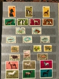 Коллекция марок животные, фото №8