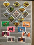 Коллекция марок животные, фото №10