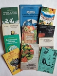 11 книг лот  Кулинария 1975-1992 гг  рецепты из овощей и фруктов, блюда, напитки, фото №2