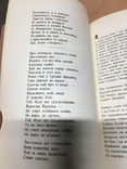 1962 Торонто Сенотаф Укр вожнно історичний інститут діаспора, фото №7