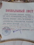 Похвальный лист ВЛКСМ, фото №4