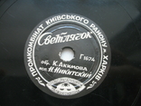 Gramophone record Nikitsky "Firefly" and Bee and Butterfly", photo number 4