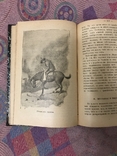 Натуралист на Ла-Плат 1897г У. Хэдсон (животные птицы), фото №2