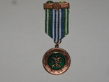 Медаль Державна митна служба За Сумлінну Службу, фото №3