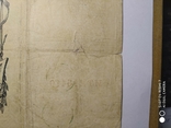 Банкнота 100 Рублей 1910 год Катенька № ИТ 115419, фото №11