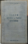 52. Звери, птицы и рыбы Арктики 1937 г. В. К. Есипов., фото №2