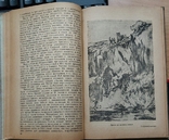 52. Звери, птицы и рыбы Арктики 1937 г. В. К. Есипов., фото №9