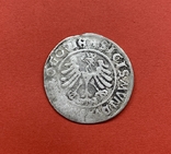  Сигізмунд I Старий 1506, фото №3