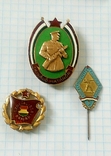 Нагрудный знак "Отличный пограничник", Венгерской Народной Республики, ХХ век., фото №8