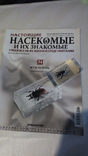 Насекомые и их знакомые №34 (жук-олень), numer zdjęcia 2