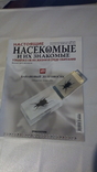 Насекомые и их знакомые №49 (банановый долгоносик), фото №2